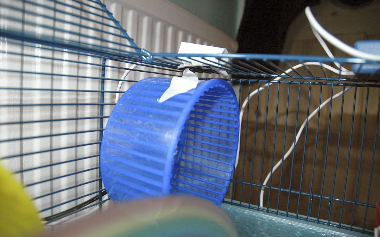 The image shows a close-up of a sensor device covered in silver duct tape, attached to the top bars of a blue hamster cage, possibly used for monitoring the hamster's wheel activity or behavior.