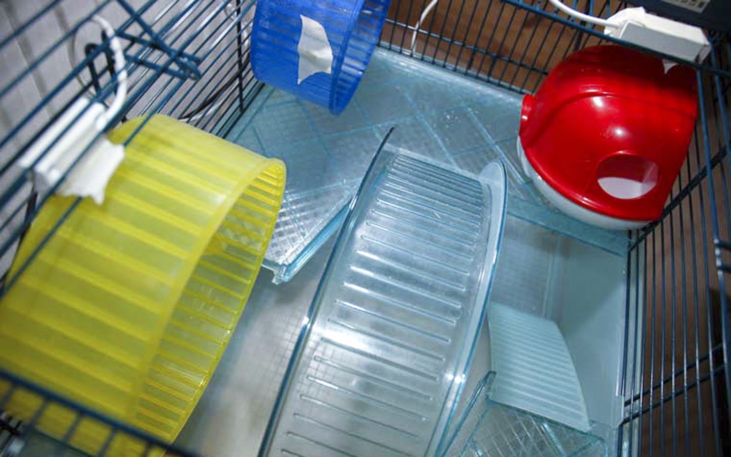 The image shows a close-up of a sensor device covered in silver duct tape, attached to the top bars of a hamster cage, possibly used for monitoring the hamster's wheel activity or behavior.