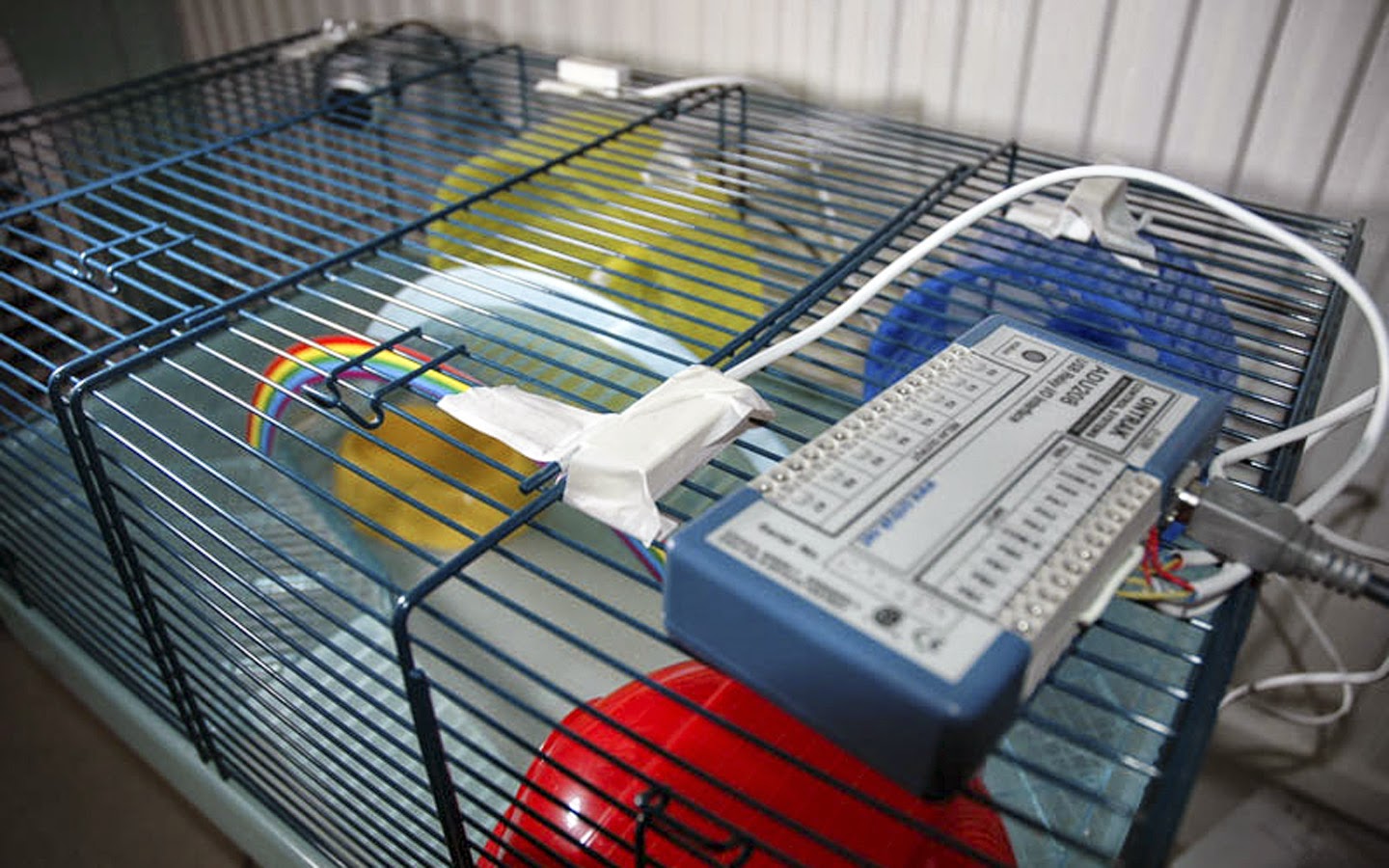 The image displays a blue hamster cage with an electronic device on top, likely used for data collection or environmental control within the cage. This technologically advanced setup combines pet care elements with sophisticated equipment, suggesting it may serve research, monitoring, or interactive purposes beyond typical pet-keeping.
