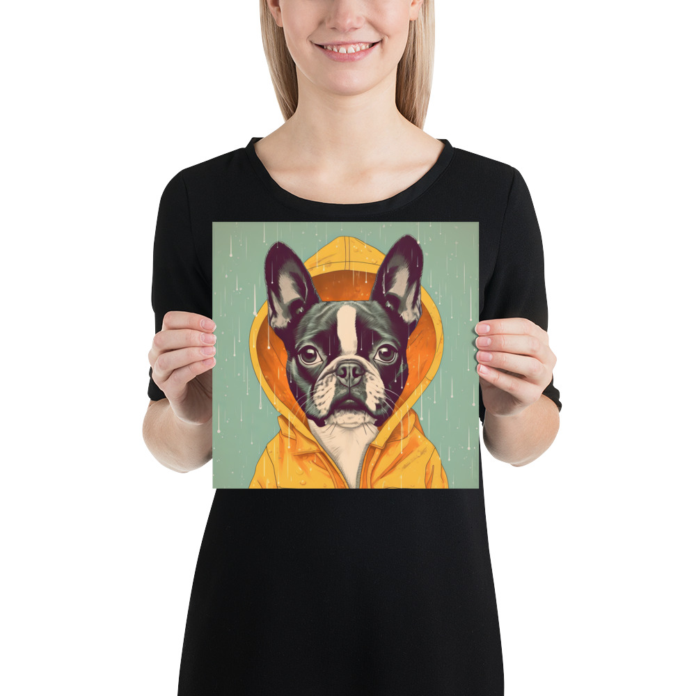 A cute Boston Terrier donning a vivid yellow raincoat. 10x10 inches