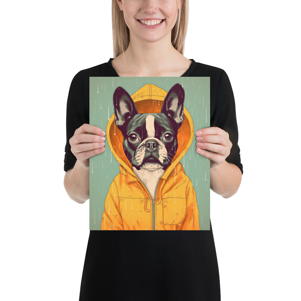 A cute Boston Terrier donning a vivid yellow raincoat. 11x14 inches