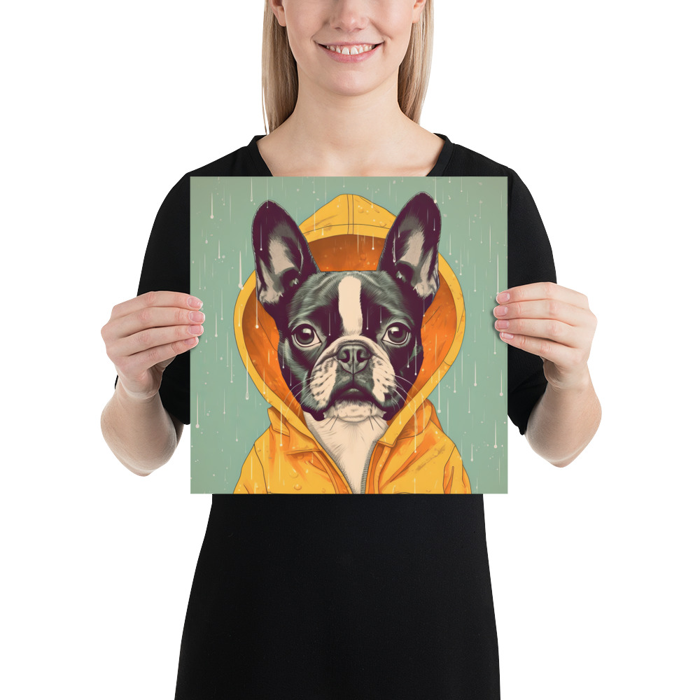 A cute Boston Terrier donning a vivid yellow raincoat. 12x12 inches
