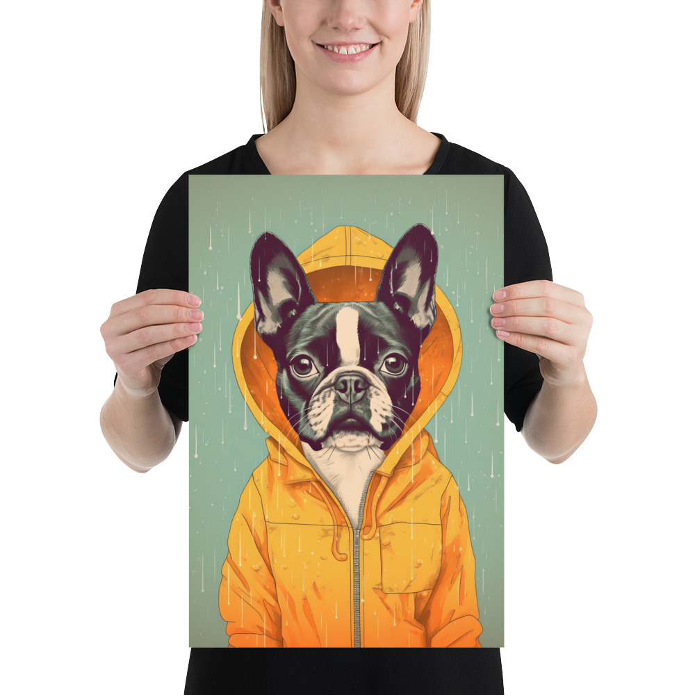 A cute Boston Terrier donning a vivid yellow raincoat. 12x18 inches