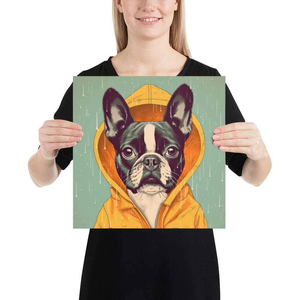 A cute Boston Terrier donning a vivid yellow raincoat. 14x14 inches