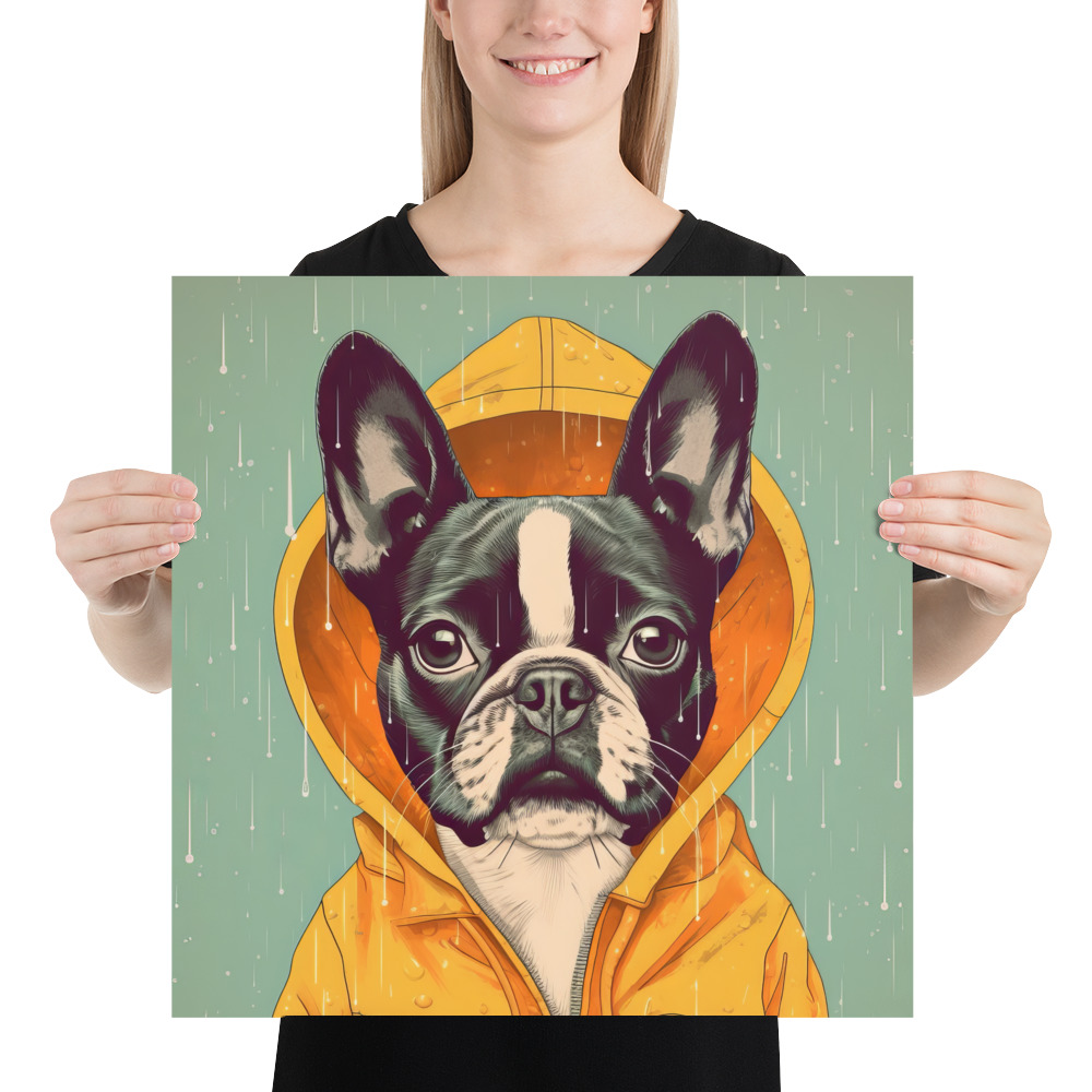 A cute Boston Terrier donning a vivid yellow raincoat. 18x18 inches